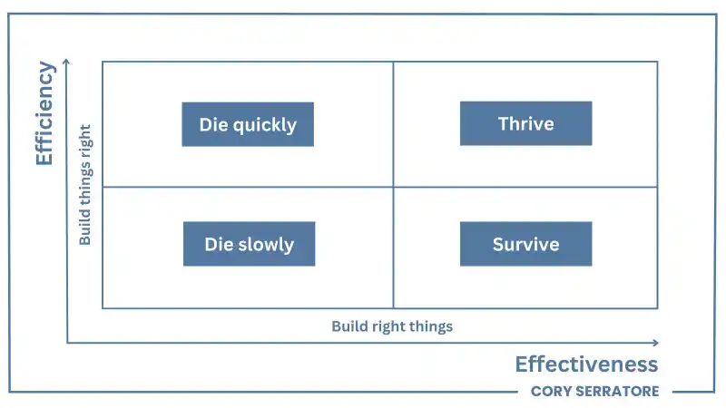 the Eisenhardt effectiveness/efficiency matrix